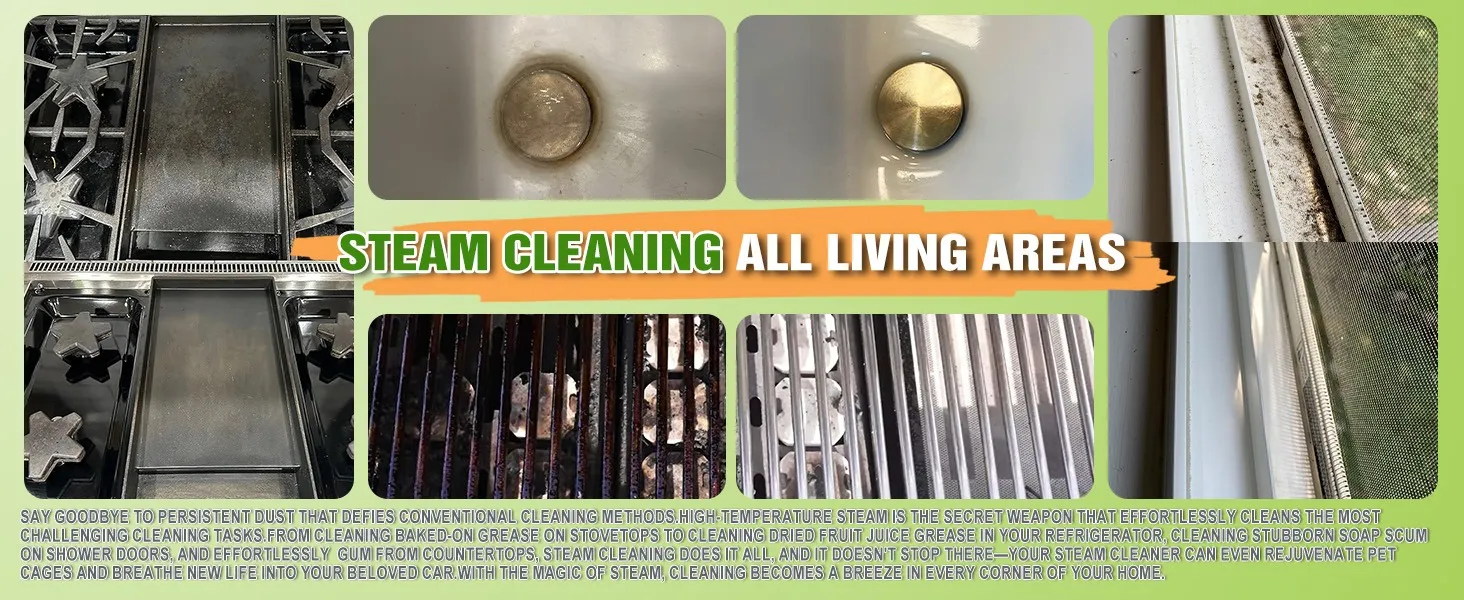 Steam Cleaning All Living Areas